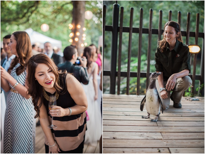 dfw wedding photographer