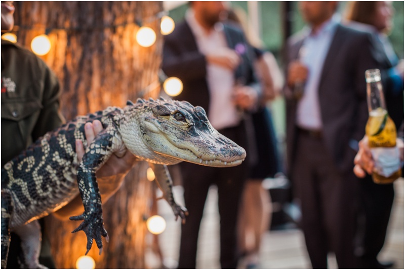 dfw wedding photographer